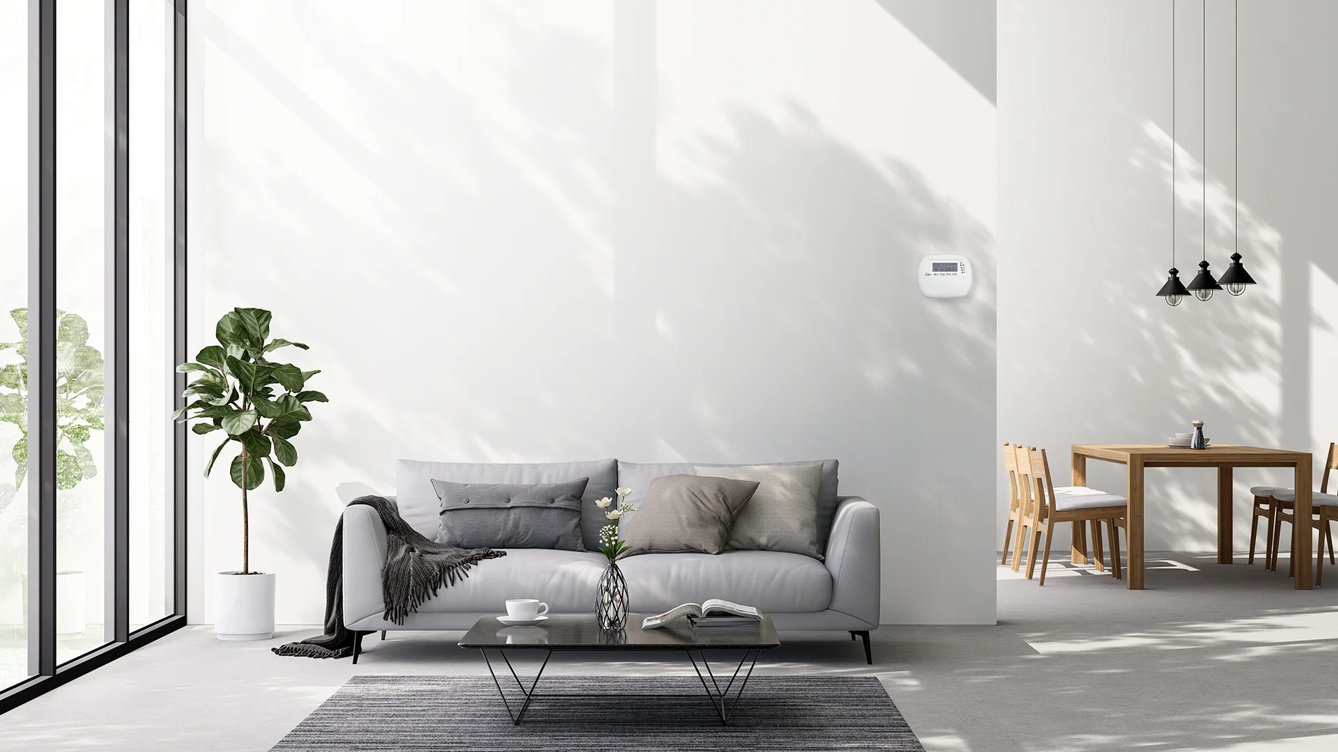 NEW_JOYGR_Contesti 1