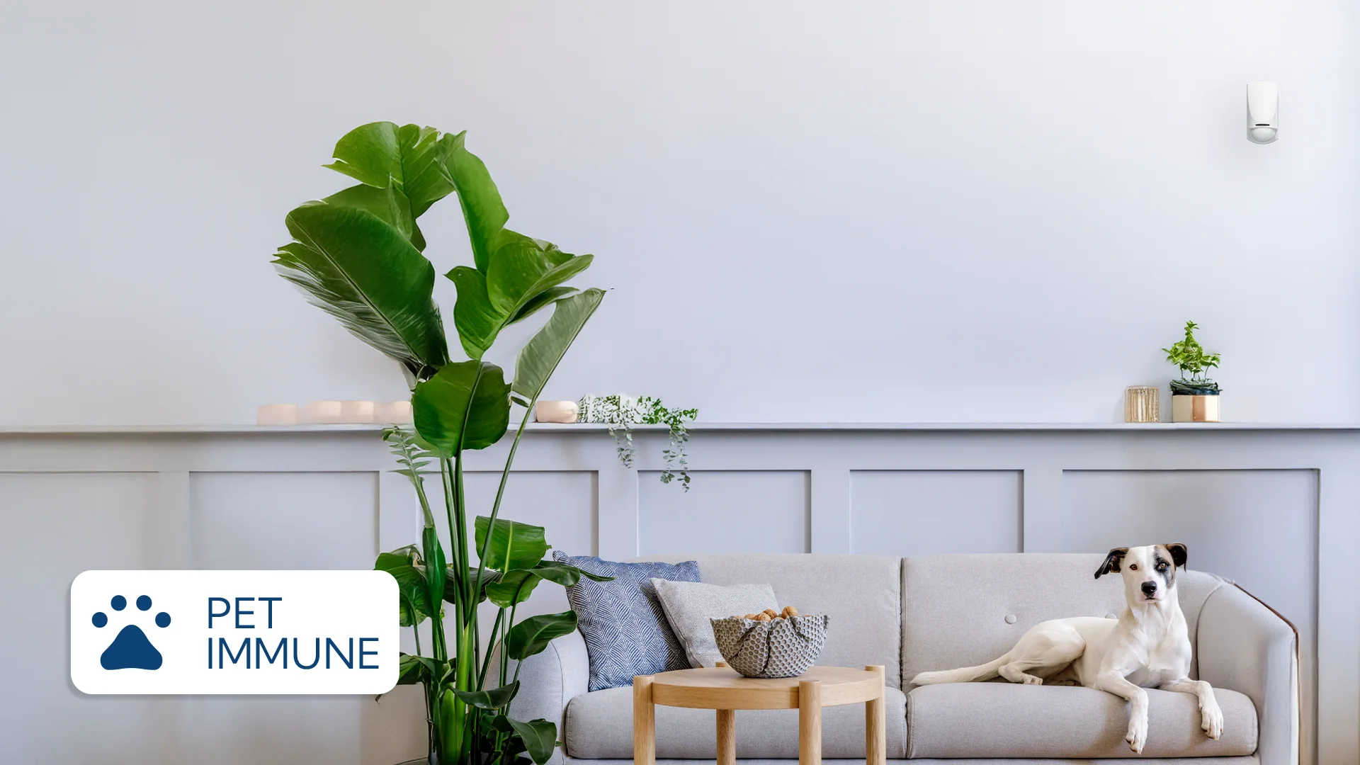 QDTP200HM_Contesti 2