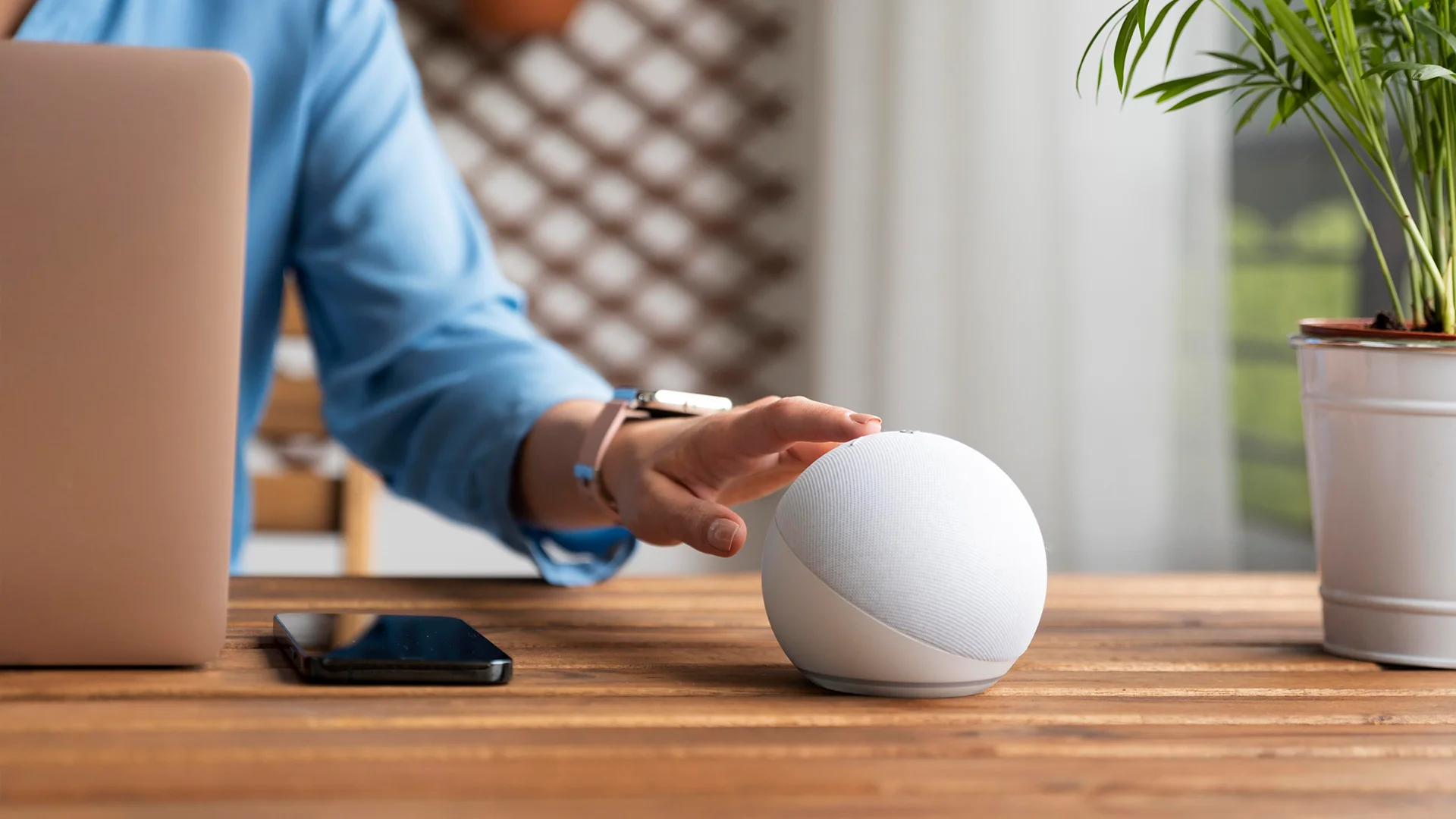 NEW_Marilyn More_Contesti 1